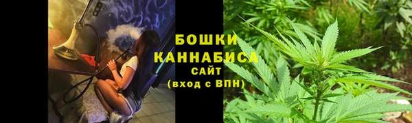 прущие грибы Киреевск
