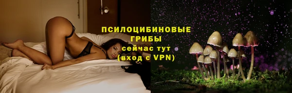 МДПВ Кодинск
