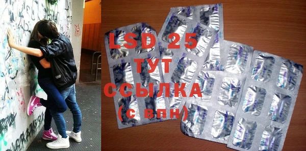 стафф Козельск