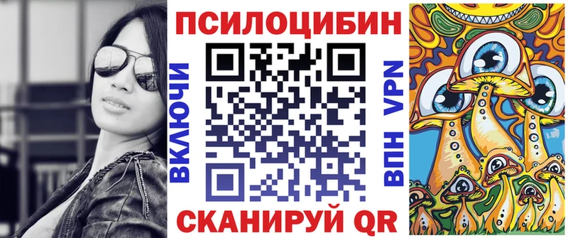 Купить  Ликино-Дулёво  Псилоцибиновые грибы Psilocybe 